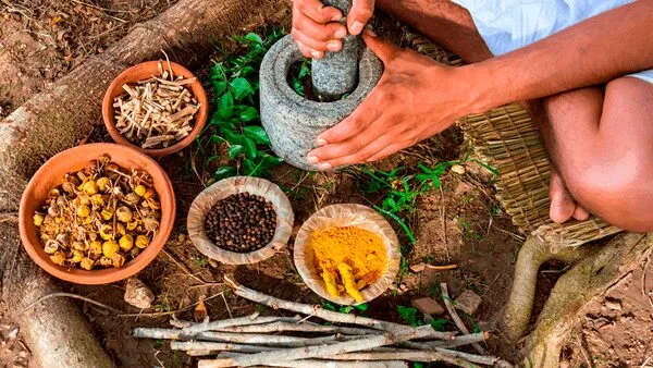 Medicina Herbal maya